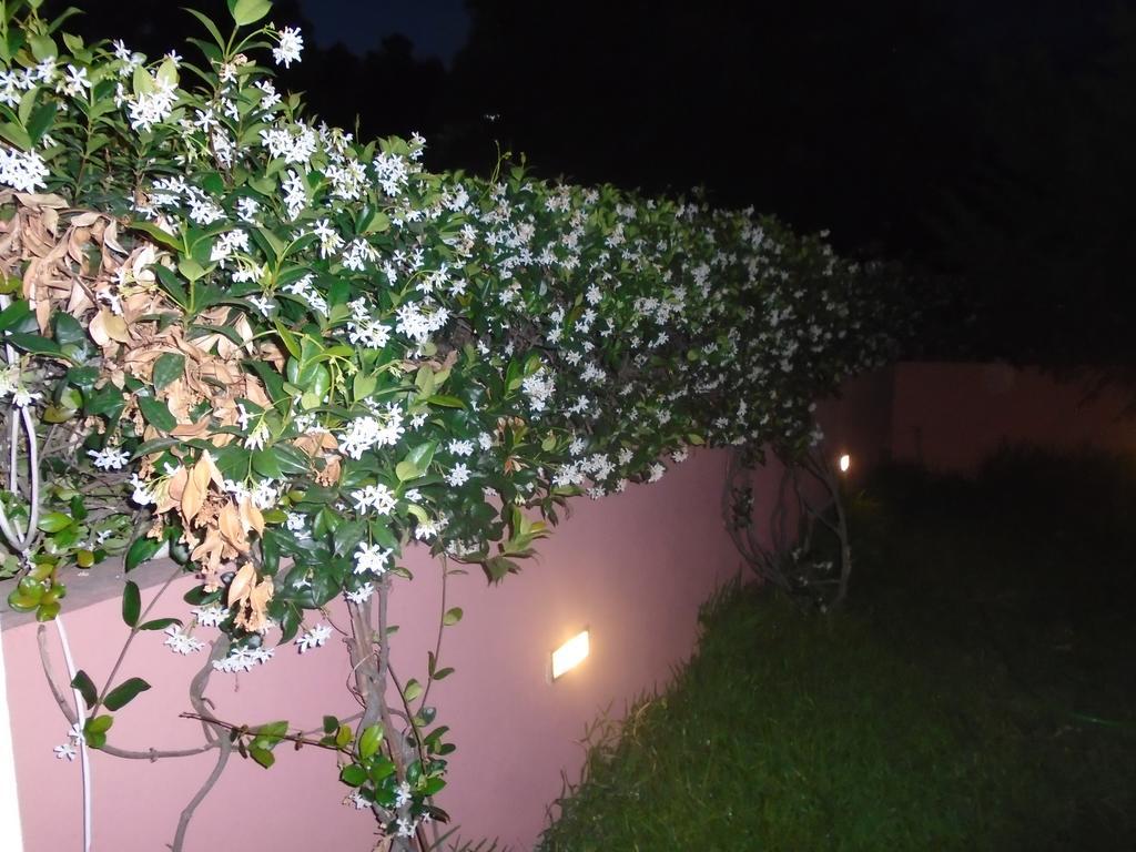 Socrates Family Apartments Kalligoni エクステリア 写真